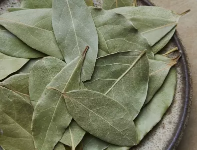 Дафинов лист и чесън - комбинацията, която е полза на всеки градинар