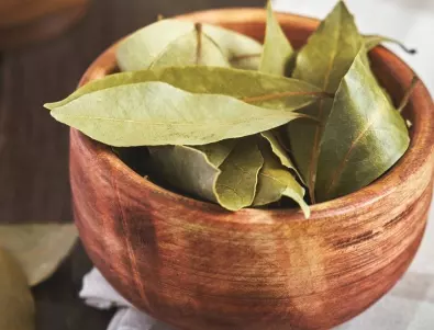 6 причини да започнете да горите дафинов лист в дома си