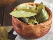 Как дафиновият лист помага за болезнените разширени вени