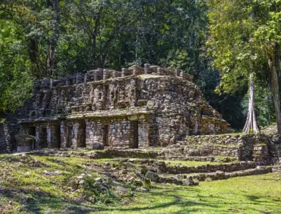 Мистериозно хилядолетно селище е открито в Мексико
