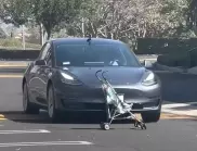 Теч на данни разкри тайните на Tesla