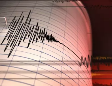 Земетресение с магнитуд 5,8 разтърси бреговете на Нова Зеландия
