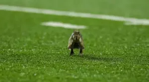 2023/02/20/0374562001676906407