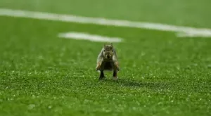 Мачовете по телевизията днес (13 април, четвъртък)