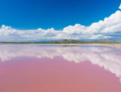 Розово като дъвка: Езеро мистериозно промени цвета си на Хаваите (ВИДЕО)