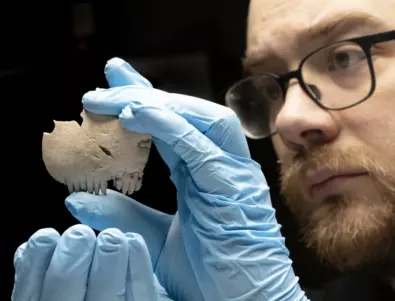 Древен гребен от човешки череп е намерен във Великобритания