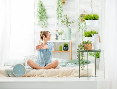 ТОП 3 растения, които да отглеждате в спалнята