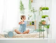 Кои стайни растения могат да подобрят съня ви?
