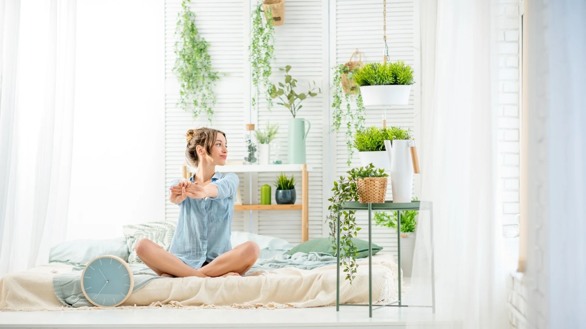 Кои стайни растения могат да подобрят съня ви?
