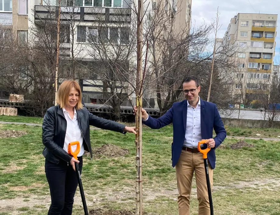 Kaufland България засади 17 дървета за 17-тия си рожден ден