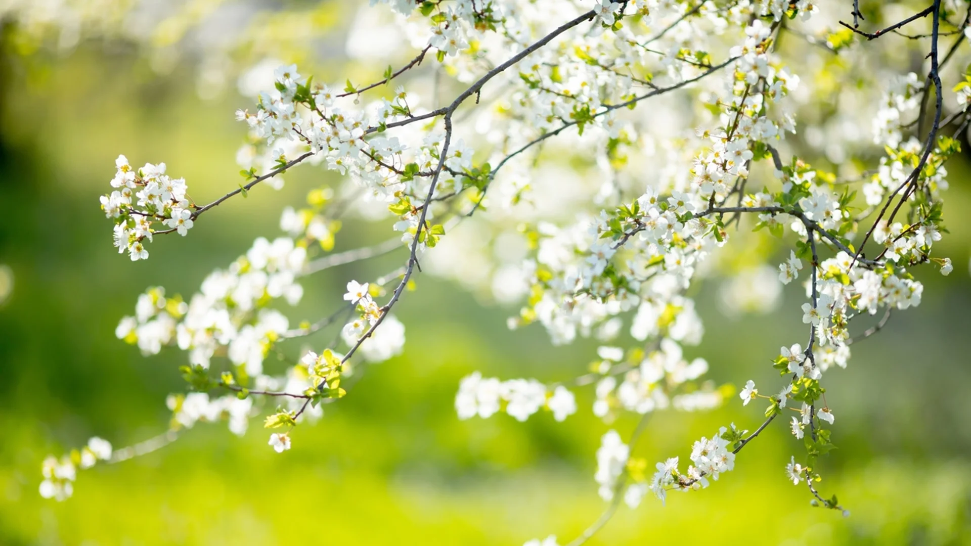 Прогноза за времето - 2 април 2024 г. (вторник)