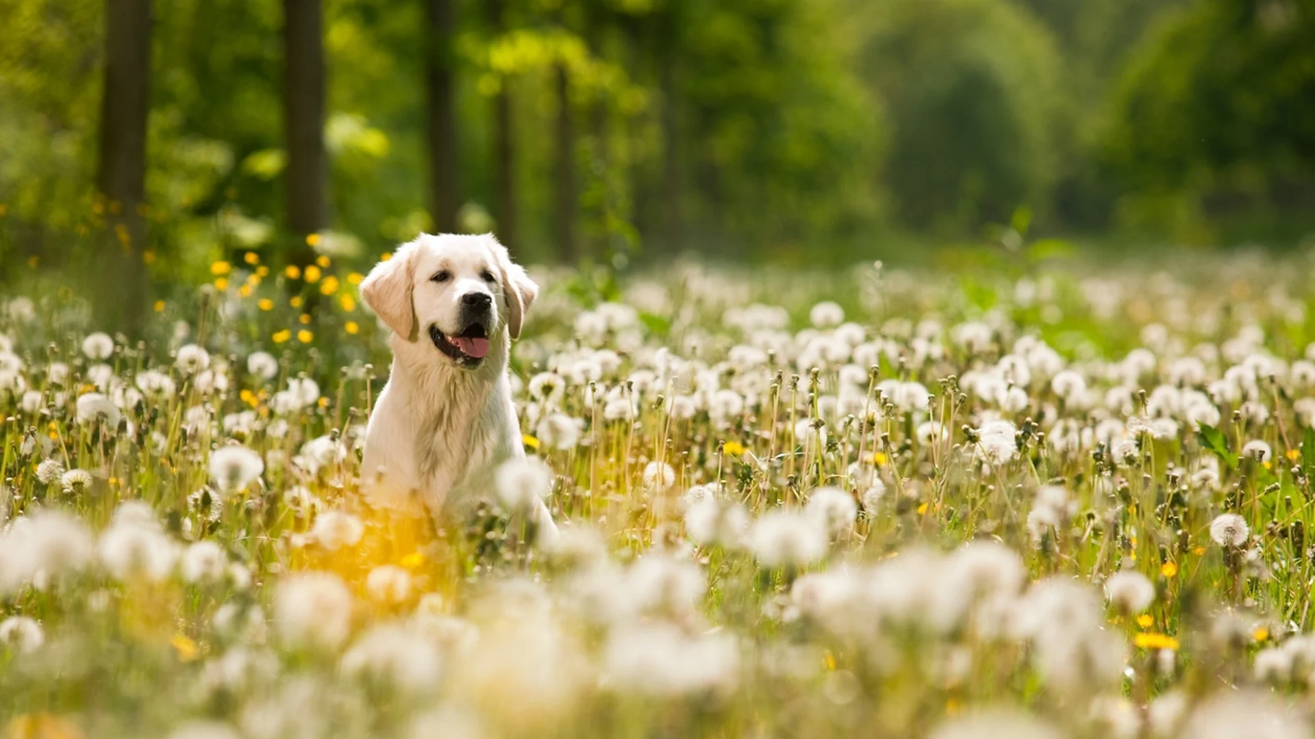 Прогноза за времето - 30 март 2024 г. (събота)