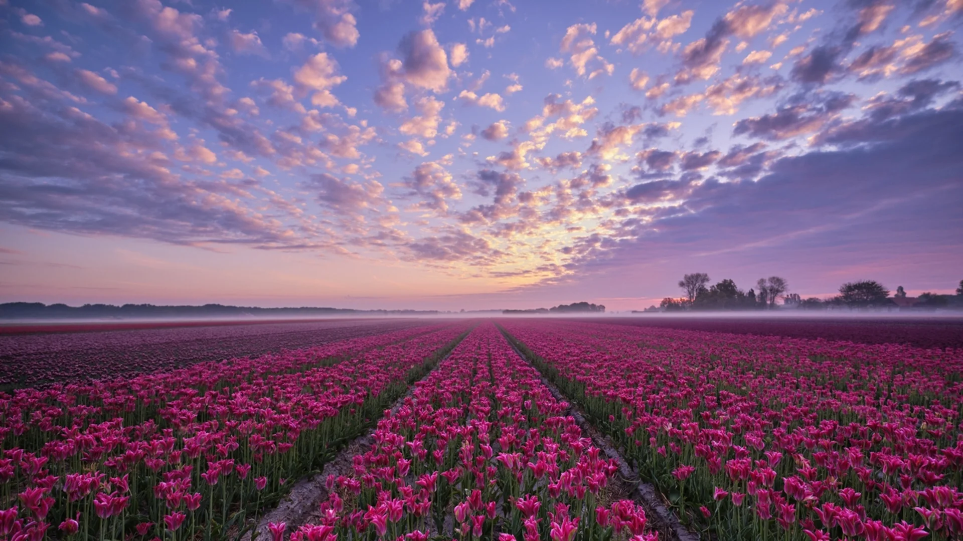 Прогноза за времето - 3 април 2024 г. (сряда)