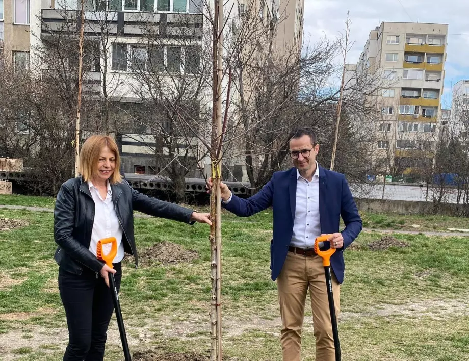 Kaufland България засади 17 дървета за 17-тия си рожден ден