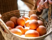 Защо не бива да варим пресни яйца за Великден? Отговорът ще ви изненада! 