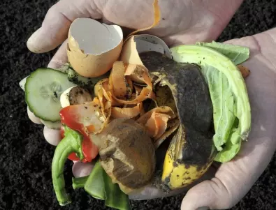 И вие ще заровите яйце и банан в градината си, като разберете какво става със зеленчуците!