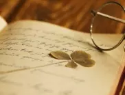 Роден е Андрю Бел 