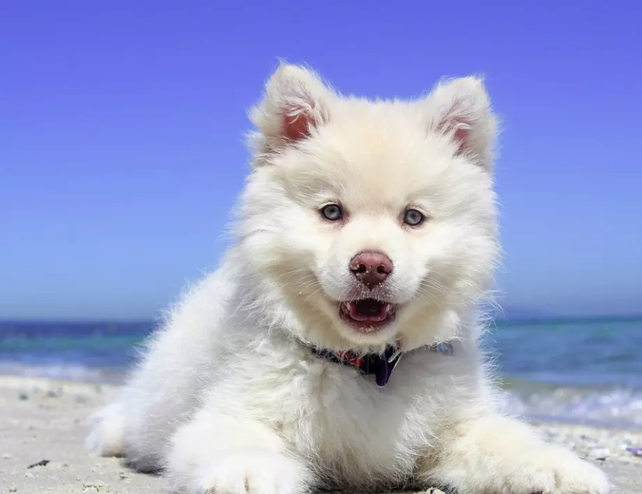 Прогноза за времето - 10 август 2023 г. (четвъртък) 