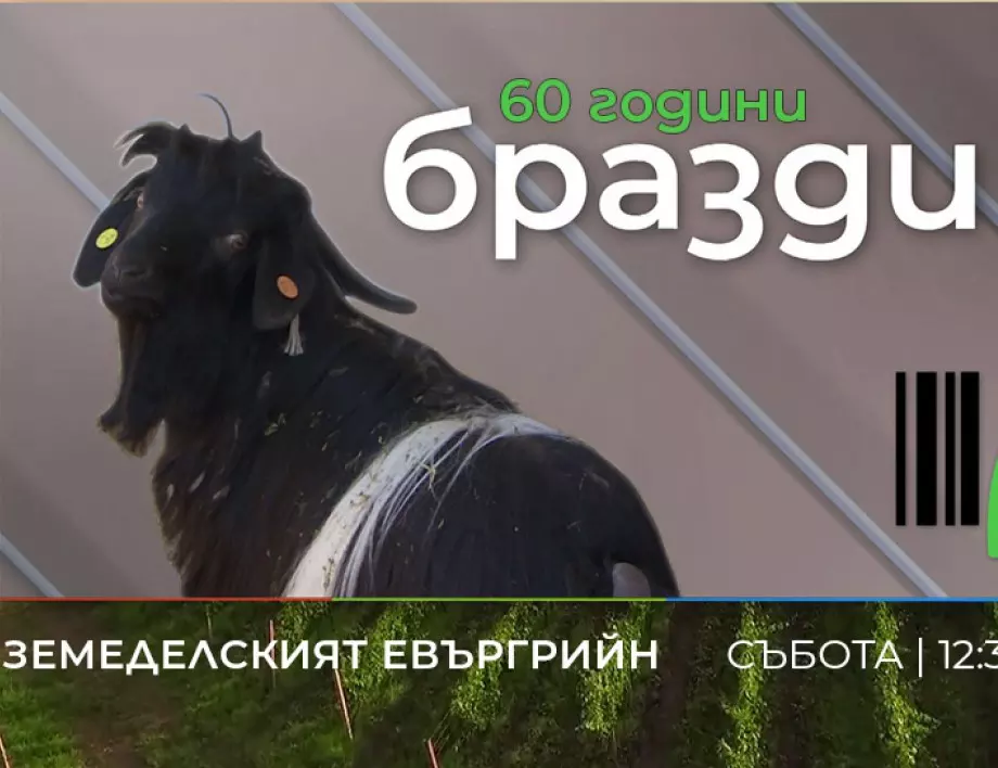 Култовото предаване "Бразди" отбелязва 60 години в ефира на БНТ 