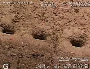 Какви са тези дупки на дъното на Атлантическия океан?
