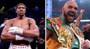 Световъртеж! Хърн каза колко пари ще вземат Фюри и Джошуа за битката между тях