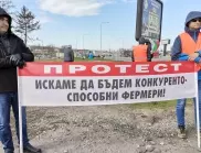 Зърнопроизводителите блокираха и пътя Силистра - Кълъраш заради украинския внос