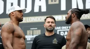 {{ otherArticle[0].article.title }}