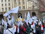 Лозарите вдигнаха протестни знамена пред президентството