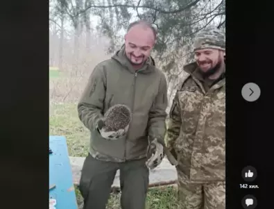 Украински бойци спасиха заклещен в бутилка таралеж (ВИДЕО)