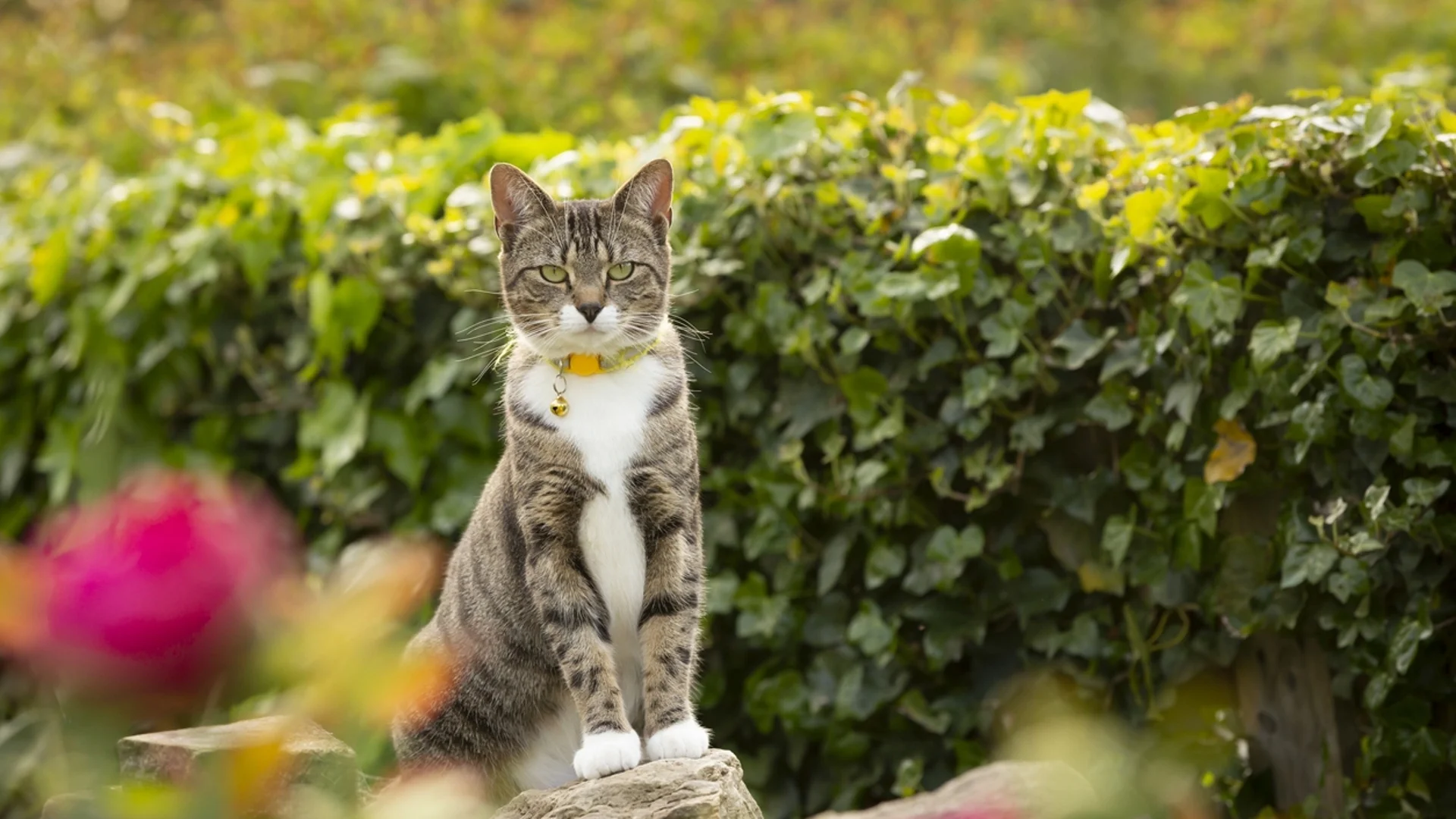 Прогноза за времето - 12 февруари 2024 г. (понеделник)