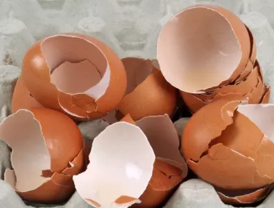 Черупки от яйца – домашната хранителна добавка за здрави кости
