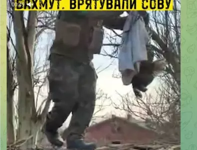 Всеки живот има значение: В Бахмут украински бойци спасиха сова (ВИДЕО)