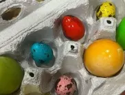 Как най-лесно се белят пъдпъдъчи яйца