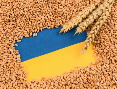 Борел: Русия блокира 50 кораба с украинско зърно в Черно море