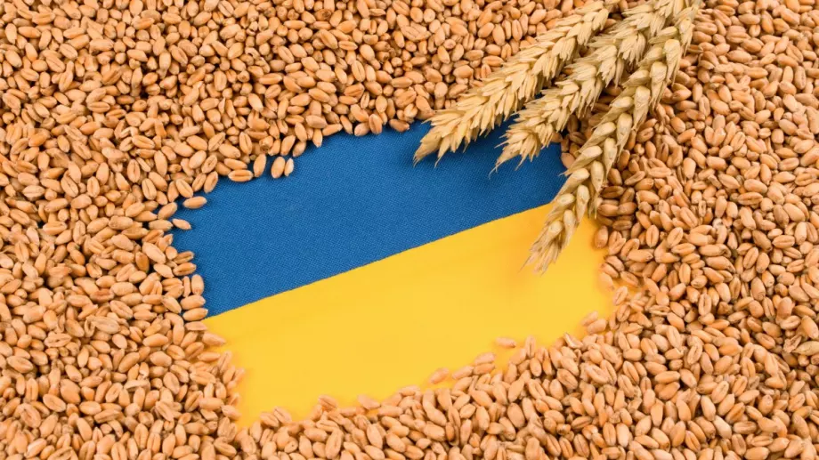 Потребителска асоциация: Решението за забрана на вноса от Украйна е шизофренно