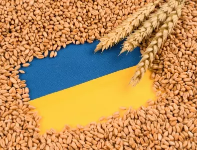 ЕК прие извънредни временни мерки спрямо вноса на някои продукти от Украйна