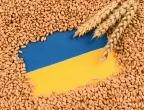 Удължават до 15 септември ограниченията върху вноса на зърно от Украйна