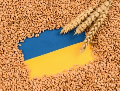 Животновъд: Вносът на украинско зърно ще доведе до спад на цените