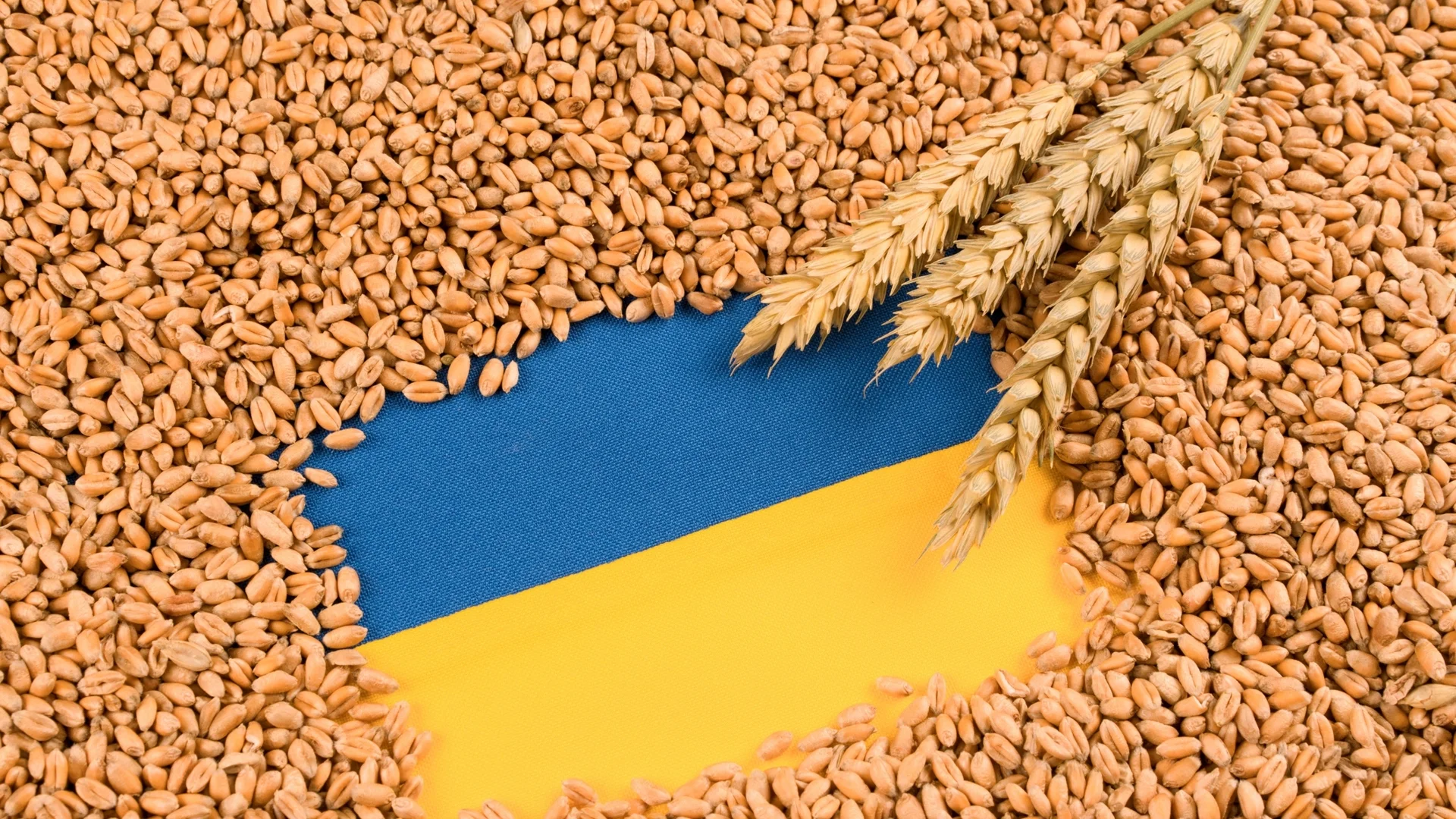 Европейски асоциации: Важно е да се предложи решение за вноса от Украйна
