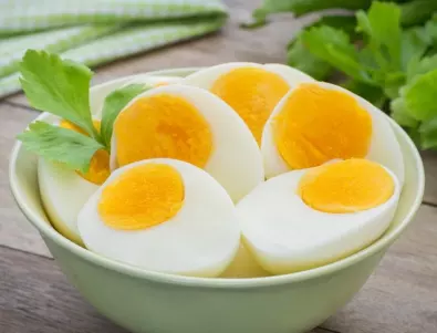 Коя е най-добрата порода кокошки за яйца?
