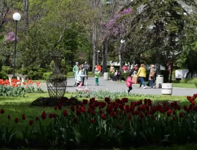 Цветното изложение в Бургас очаква посетителите си до 8 май