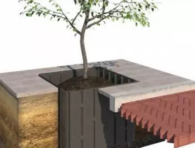 Въвеждат нова технология при засаждането на дървета в Стара Загора