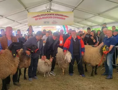 Над 200 000 посетители събра за три дни Съборът на овцевъдите (ВИДЕО)