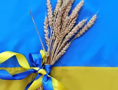 В Германия се плашат от вноса на украинско зърно. Ето какво гласят слуховете