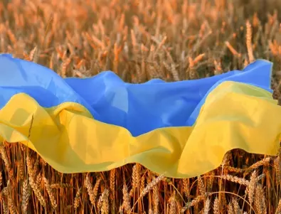 Украйна подаде искове в СТО заради забраните за внос на украинско зърно