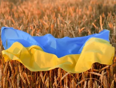 Европейски земеделски организации настояват за мерки срещу вноса от Украйна