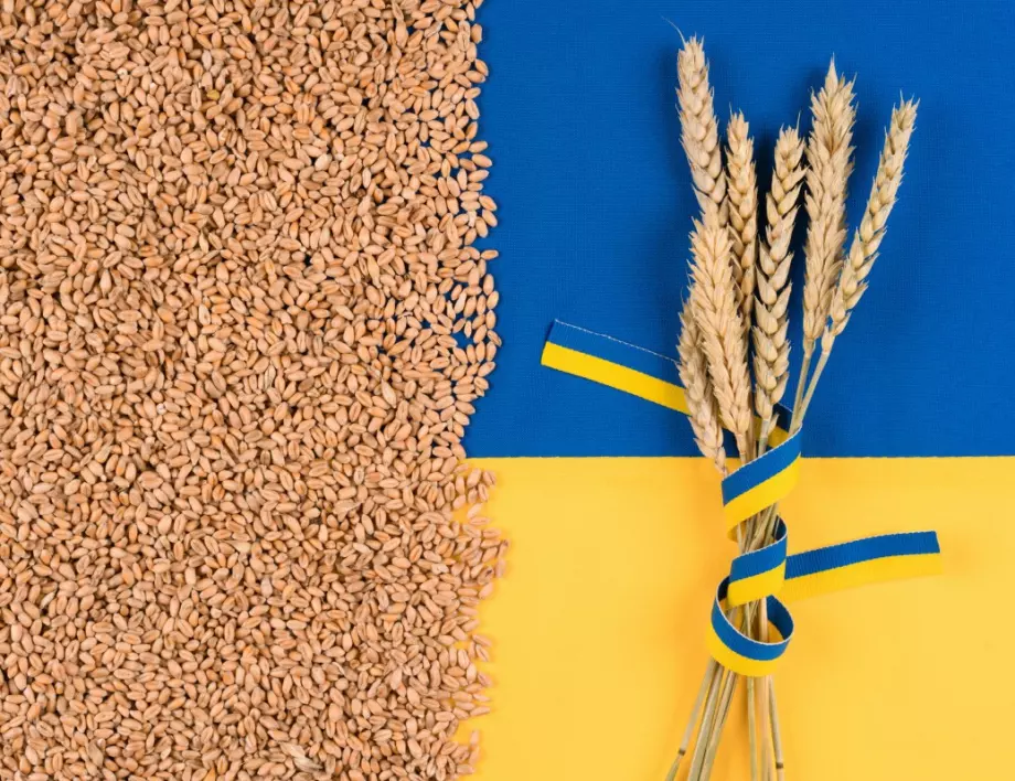 Европарламентът удължава с една година мерките за украинското зърно