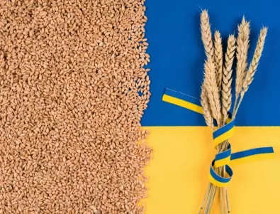 Сделката за украинското зърно ще бъде удължена - материал в ТАСС