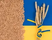ООН се мъчи да спаси зърнената сделка с ново предложение