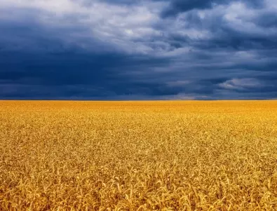 Генщабът на Украйна: Руските сили разграбват зърно и имущество в Запорожка област
